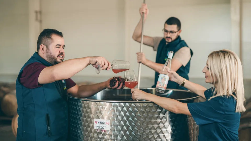 Seated wine tasting of 7 wines in Shumen Province
