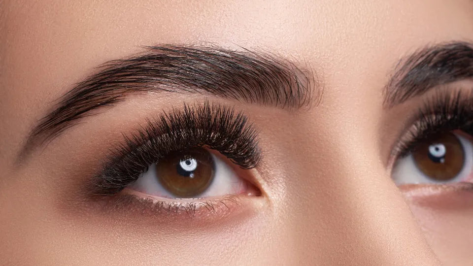3D–5D volume lash extensions in Sofia – finished result