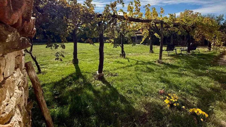 Fruit-tree garden and quiet yard – Karpachevo slow escape