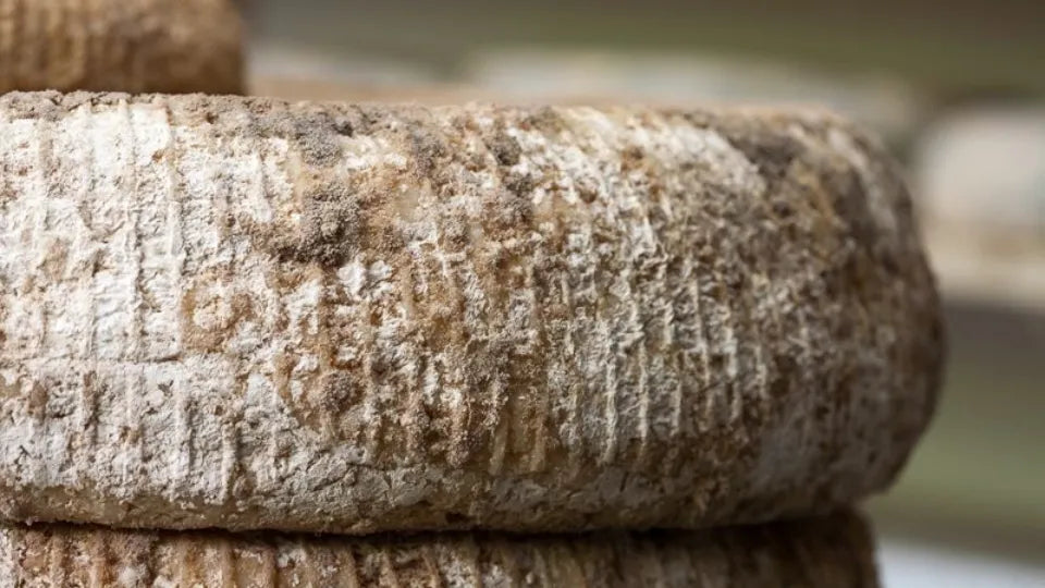 Приготвяне на сирена с Цветан Димитров от с.Черни Вит Гурме, вкусове и аромати