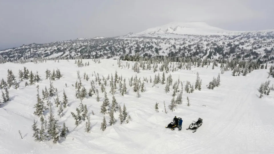 Group snowmobiles on winter trails in South Vitosha at night