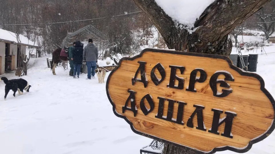 Voucher for winter horseback riding Svoge with tea and sweets