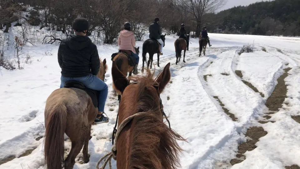 Winter horseback riding Svoge with hot tea after the ride