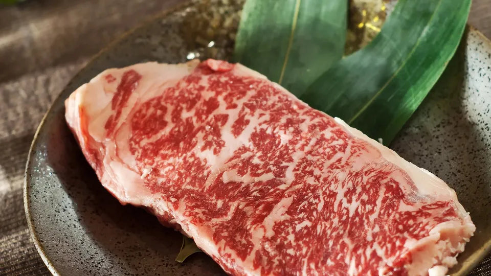 Stylish plating at Question Mark Fusion — tasting menu for two in Sofia