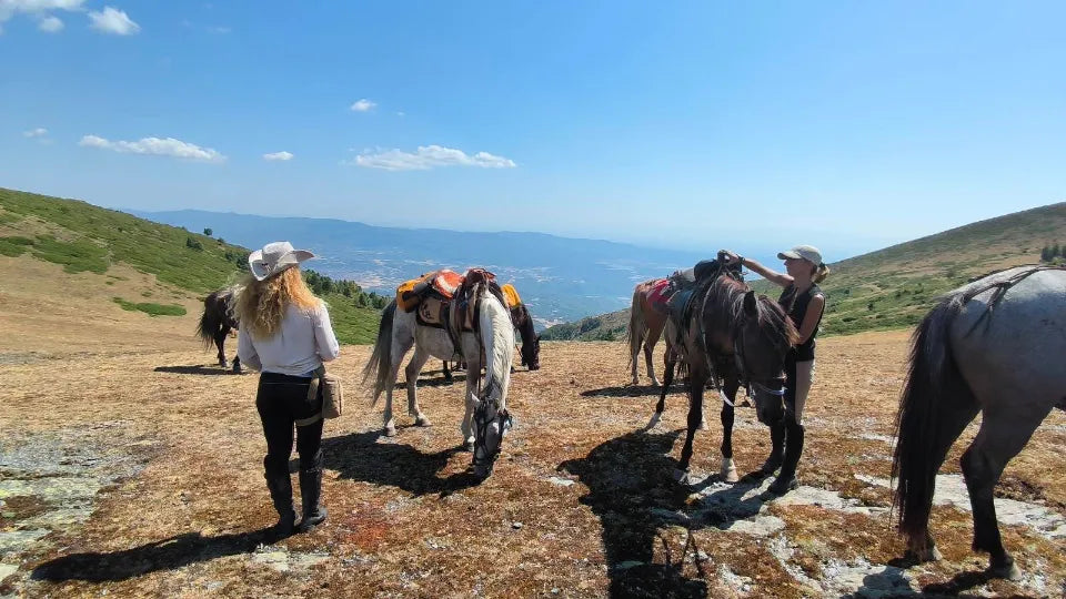 Off-road horse-drawn carriage route in Sokolitsa, Karlovo