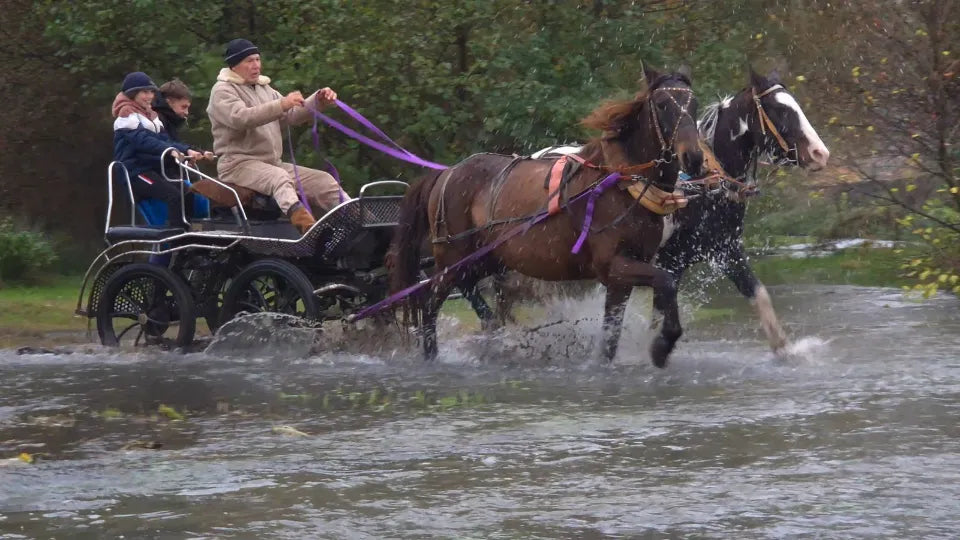 Gift voucher for horse-drawn off-road experience near Karlovo