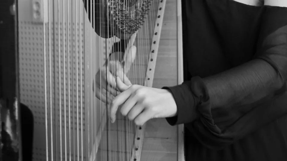 Арфа на живо за до 30 човека