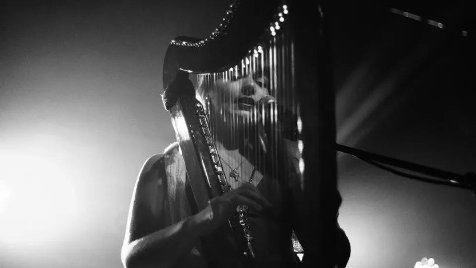 Арфа на живо за до 30 човека