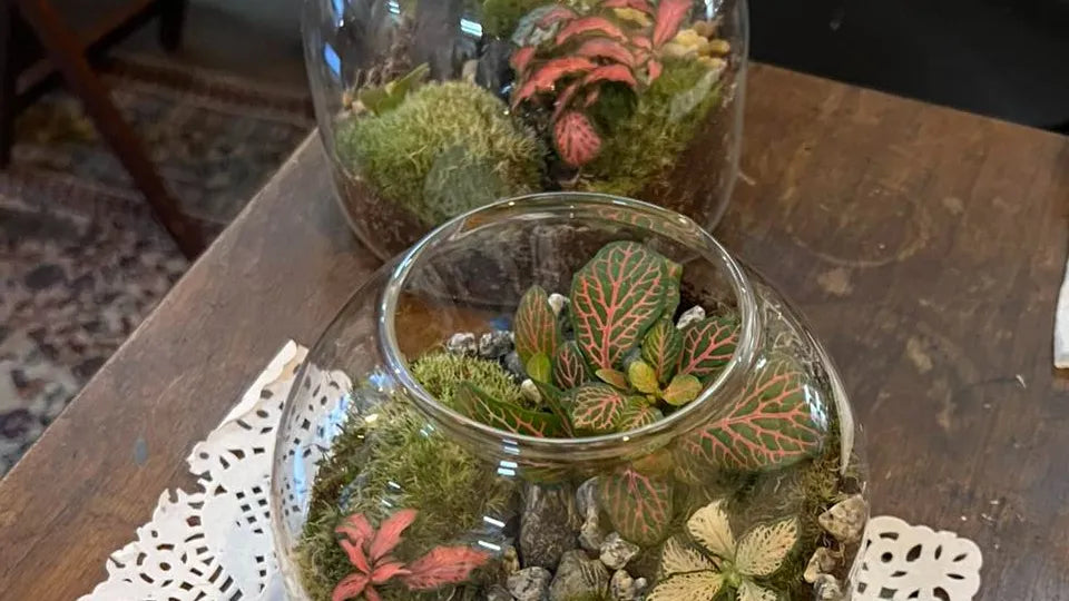 Group terrarium workshop with instructor in Sofia