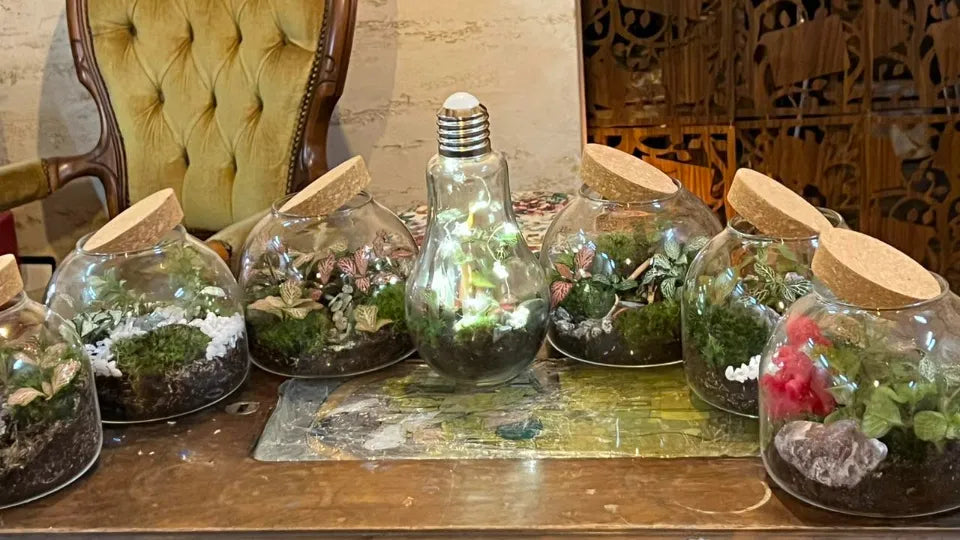 Participant arranging soil and drainage layers in a terrarium class