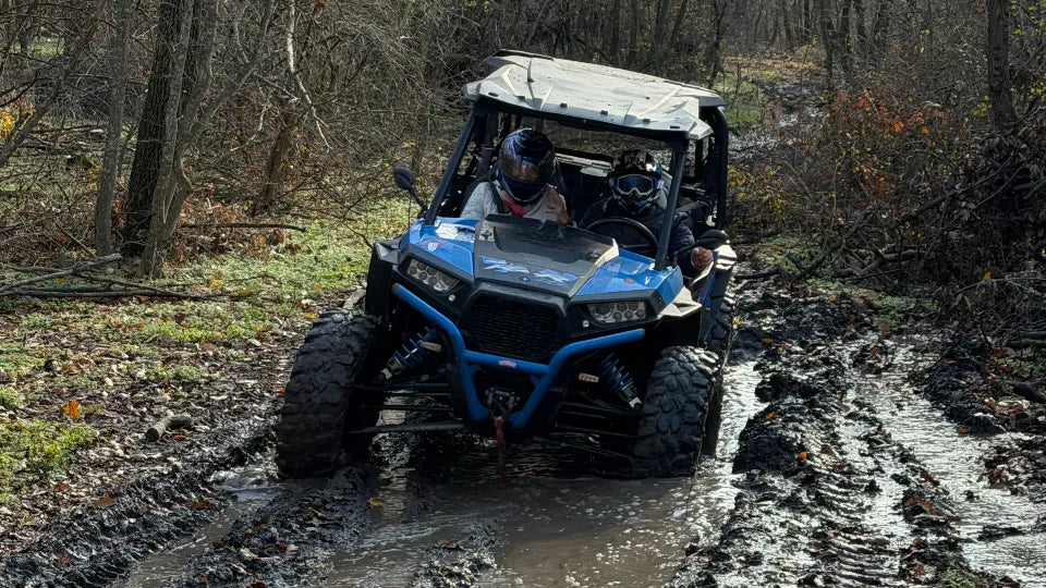 Family buggy ride with up to 4 seats near Varna