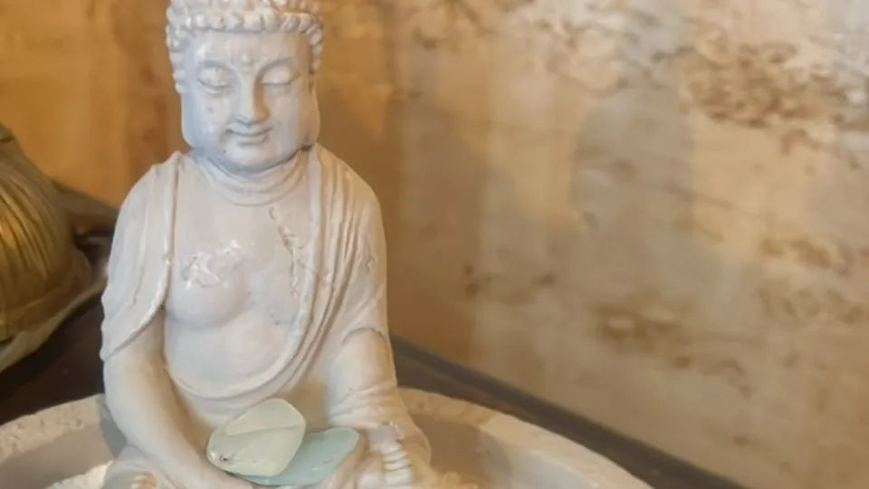 Create Your Own Zen Garden at NIVA Studio