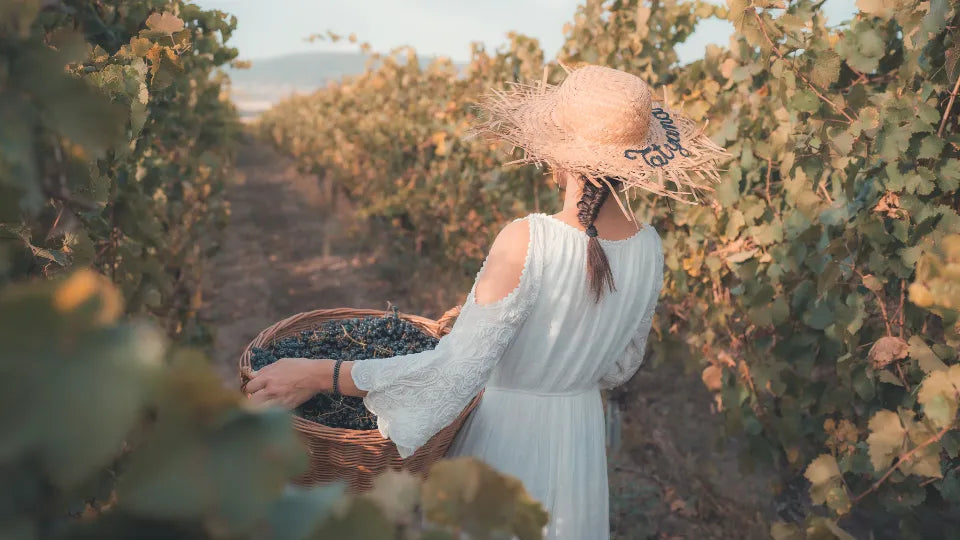 Wine Tasting by Lake Varna