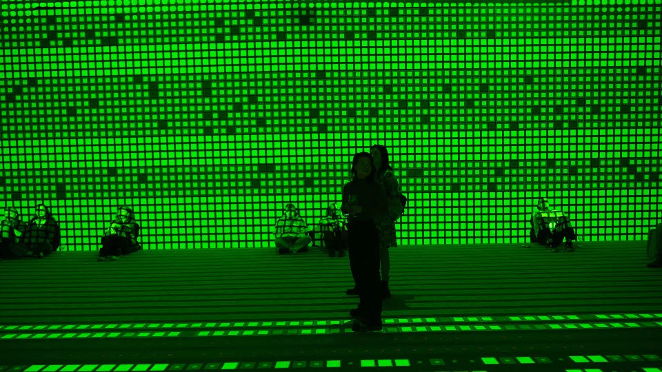 Immersive Digital Art Experience at Videnie