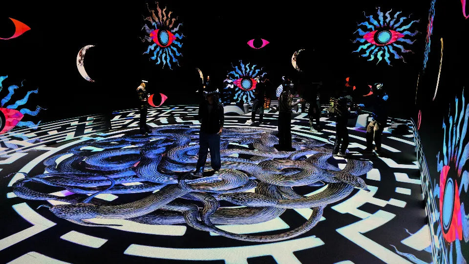 Immersive Digital Art Experience at Videnie