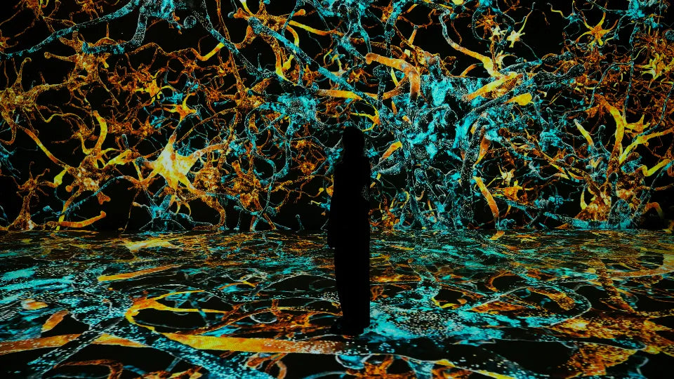 Immersive Digital Art Experience at Videnie
