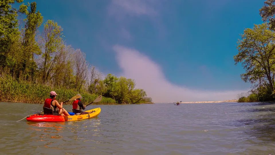 Beginner Kayaking Adventure on the Kamchia River