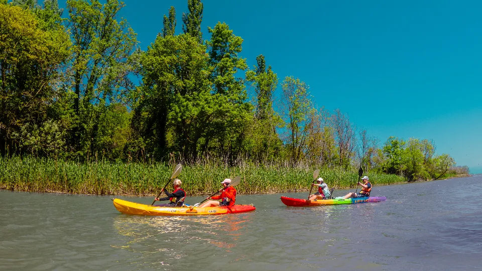 Beginner Kayaking Adventure on the Kamchia River