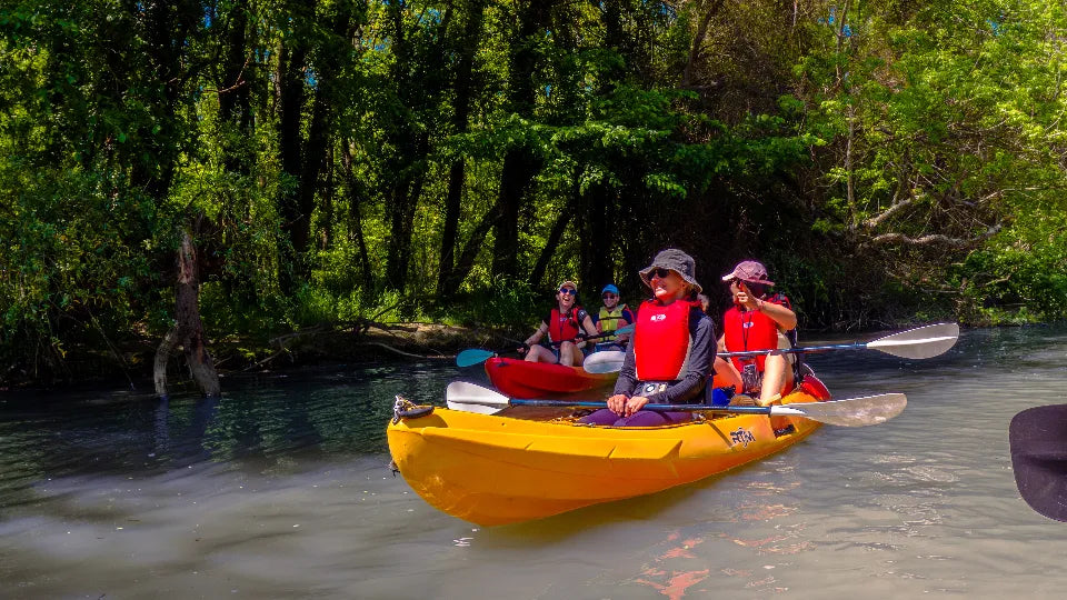 Beginner Kayaking Adventure on the Kamchia River