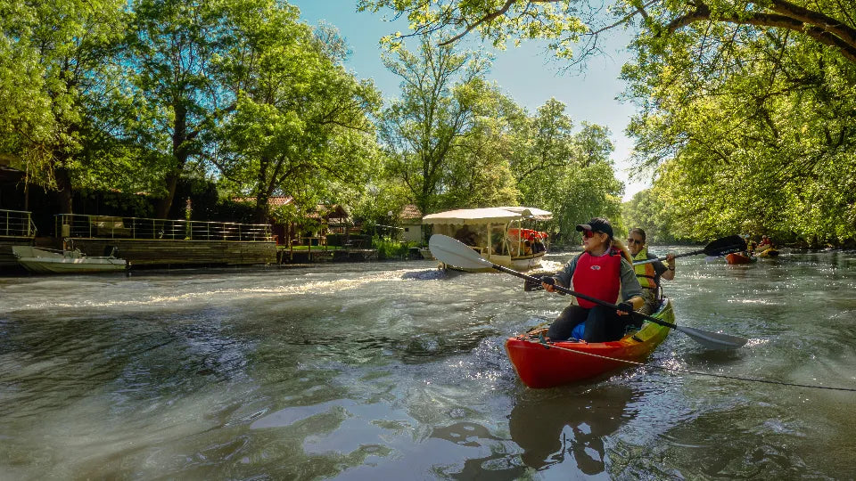 Beginner Kayaking Adventure on the Kamchia River
