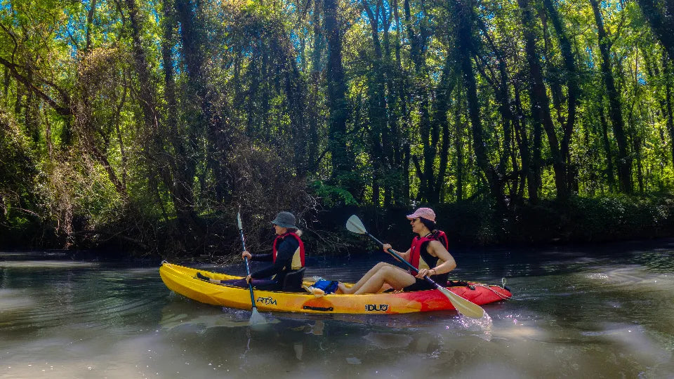Beginner Kayaking Adventure on the Kamchia River
