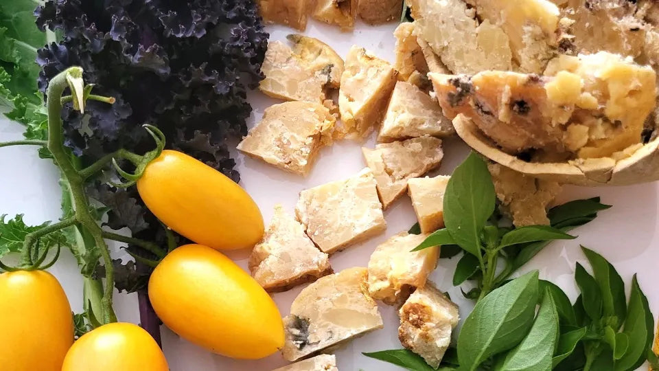 Bulgarian Terroir Cheese and Wine Tasting