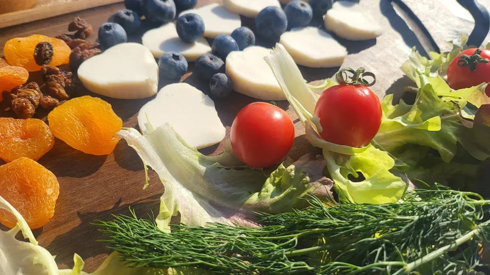 Gourmet Evening under the Stars at the Enchanted Forest