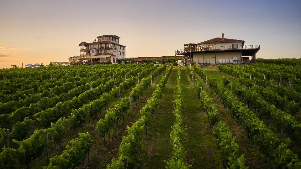 Wine Luxury Stay for Two near Ruse
